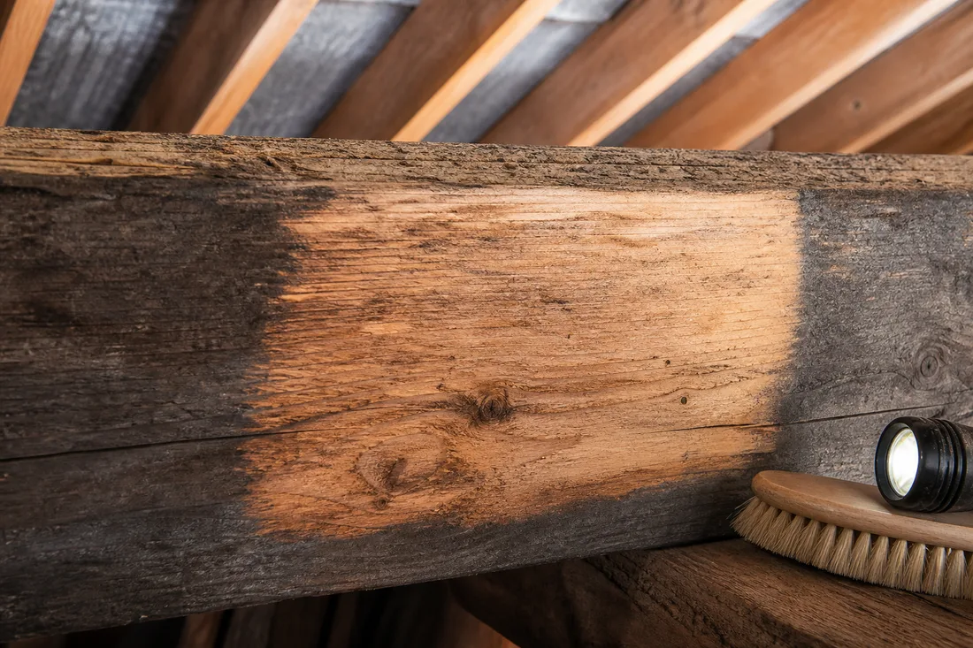 Zone de poutre préparée avec brosse et lampe d'inspection